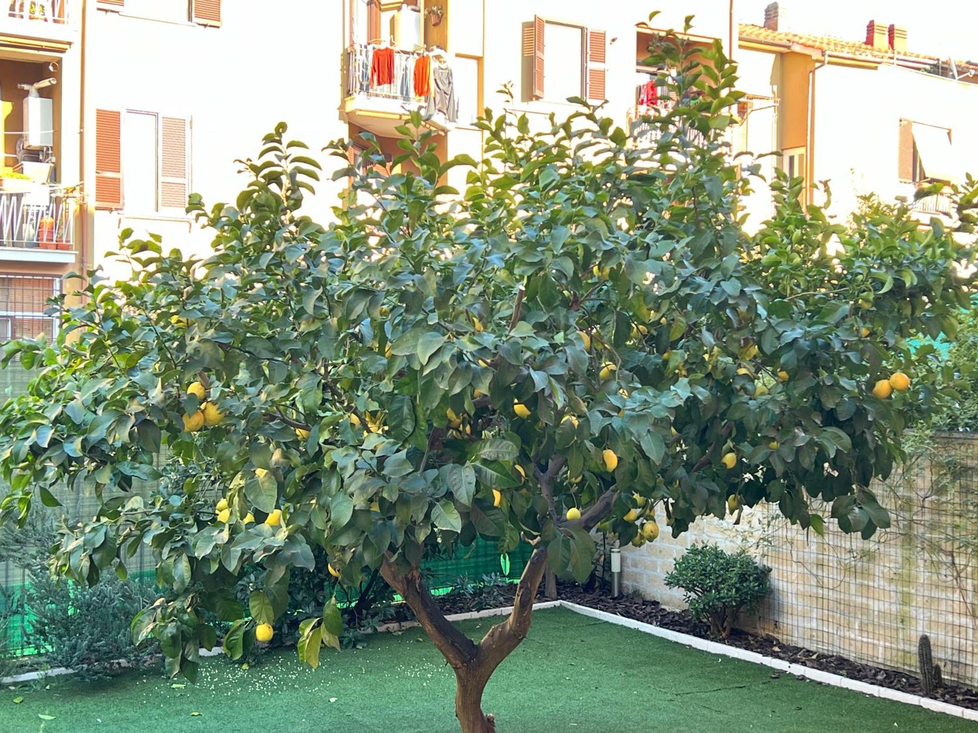Casa Paestum. Your Wonderful Garden In Рим Екстер'єр фото