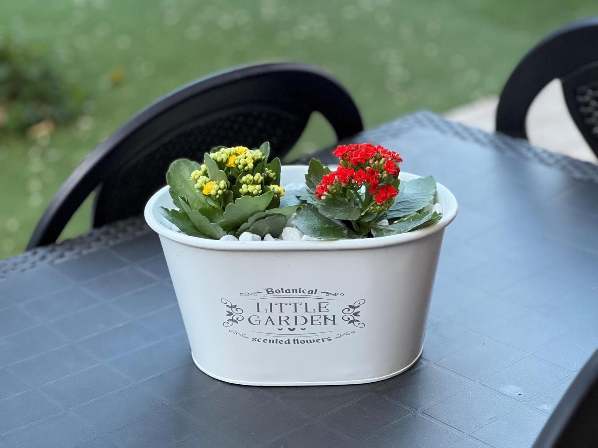 Casa Paestum. Your Wonderful Garden In Рим Екстер'єр фото
